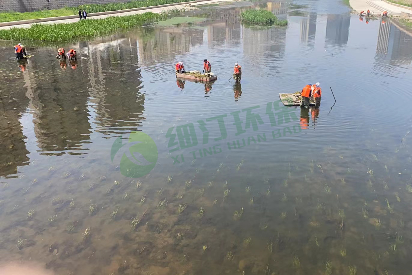 1695024199338912.jpg 4.jpg