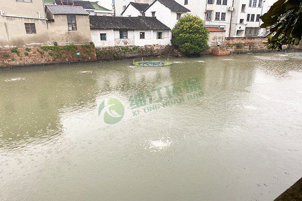 1695084528551332.jpg 1657332213616.jpg